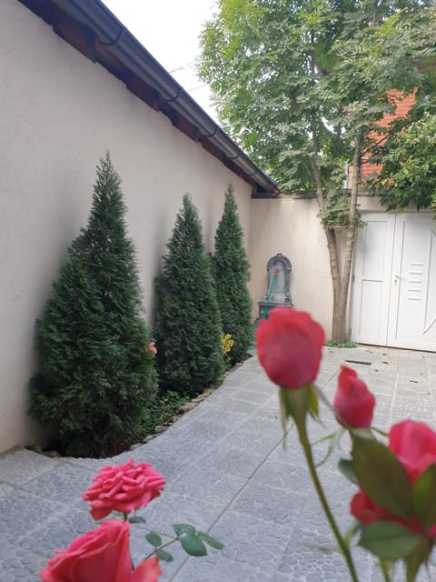 Spring, Day, Garden, Garden view