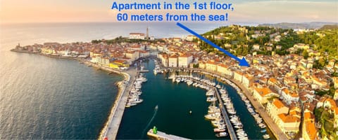 Nearby landmark, Natural landscape, Bird's eye view, City view, Sea view, Location