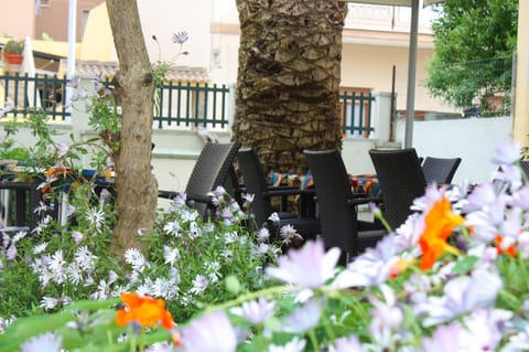 Patio, Garden, Garden view