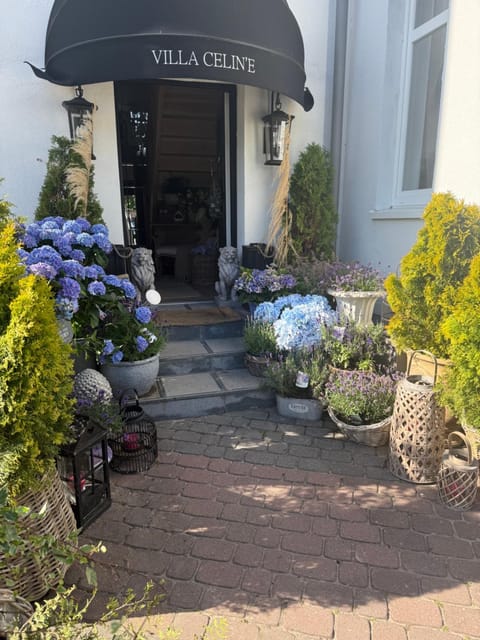 Villa Celine Apartment in West Pomeranian Voivodeship, Poland