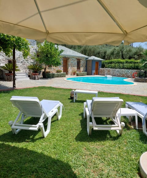 Day, Garden, Garden view, Pool view, Swimming pool, sunbed