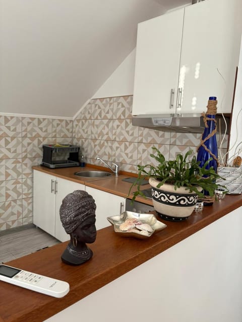 Apartman Salus Apartment in Federation of Bosnia and Herzegovina