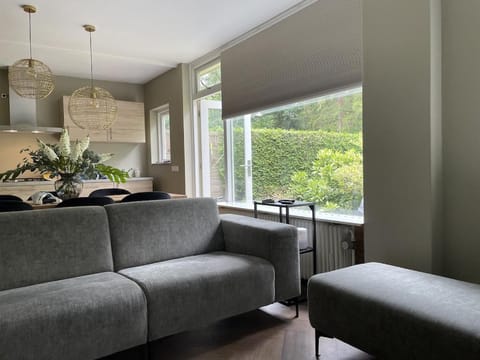 Living room, kitchen