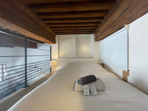 Appartement cosy au coeur du Vieux Lyon Apartment in Lyon