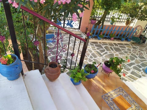 Villa Mitselo Apartments Apartment in Halkidiki