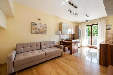 Kitchen or kitchenette, Living room, Seating area