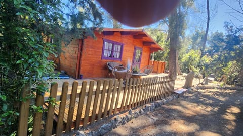 ML83 Bed and Breakfast in Sanary-sur-Mer