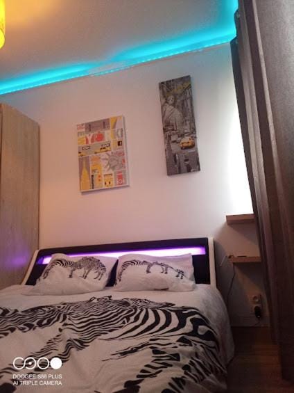 Le gite "Manhattan studio" Besançon proche centre commerce Apartment in Besançon