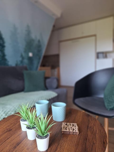 Borovi30 Apartment in Zlatibor District, Serbia