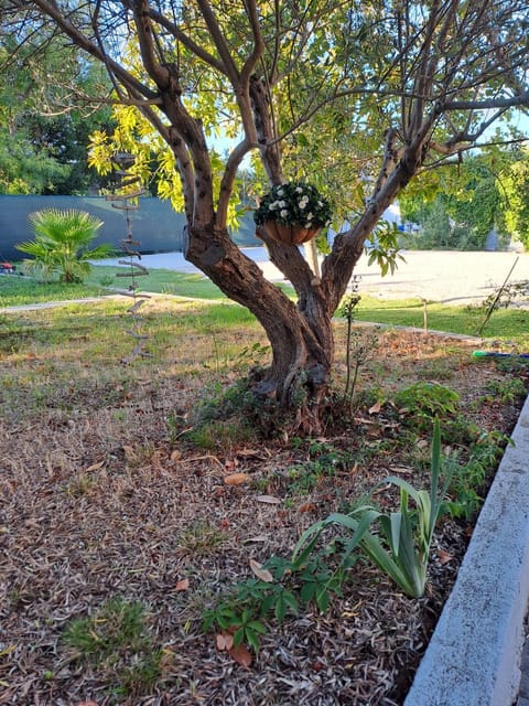 Hacienda Murter Villa in Murter