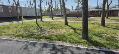 Natural landscape, Garden view