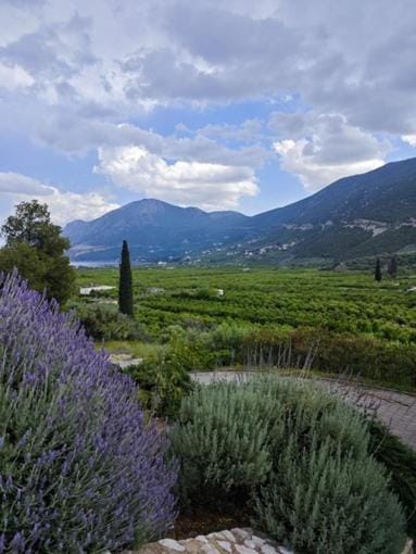 View (from property/room)