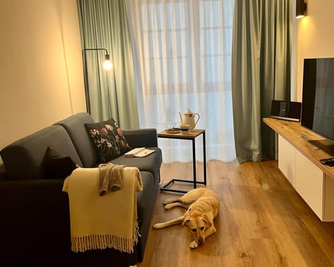 TV and multimedia, Living room, Seating area, Pets