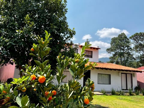 Casa Lunah Avandaro House in State of Mexico