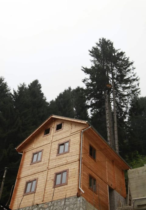 Property building, Natural landscape