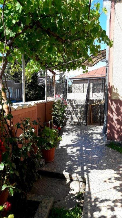 Property building, Garden view