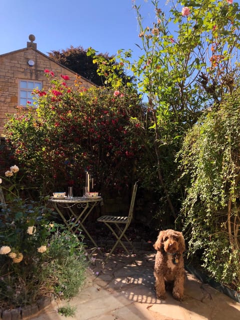 Spring, Day, Garden, Balcony/Terrace, Balcony/Terrace, Pets, Garden view