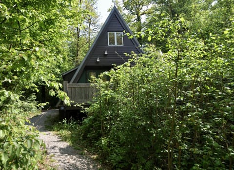 Property building, Balcony/Terrace