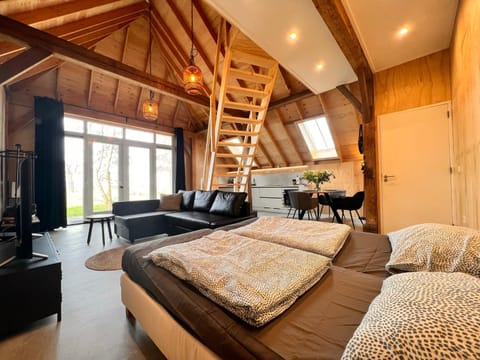 Bed, kitchen