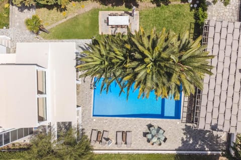 Property building, Bird's eye view