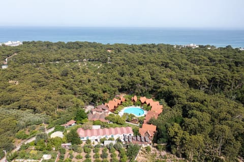 Natural landscape, Bird's eye view