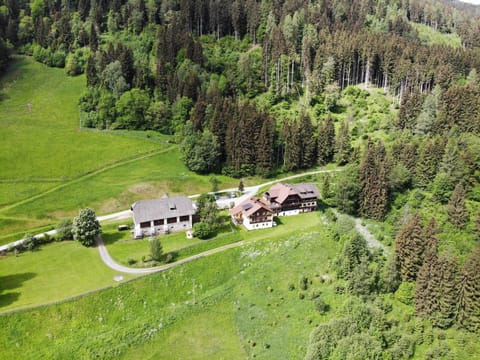 Gasthof Thurnerhof Bed and Breakfast in Carinthia, Austria
