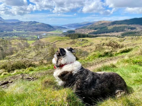 MotoCamp Wales - Lodges Apartment in Dolgellau