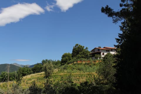 Garden view, Garden view, Mountain view