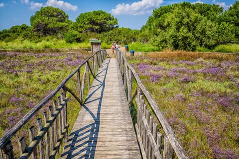 Nearby landmark, Natural landscape