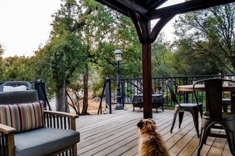 Out in the Wild House in Oakhurst