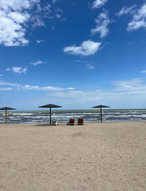 Beach, Beach