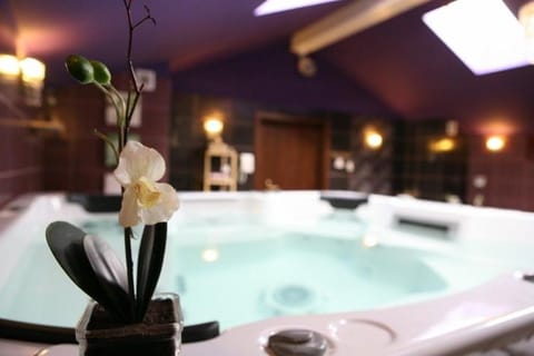Hot Tub, Spa and wellness centre/facilities, Bath