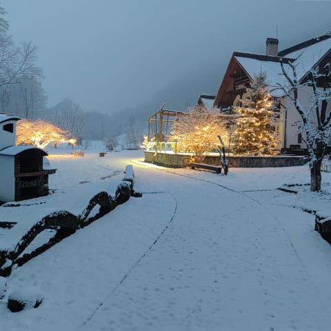Natural landscape, Winter