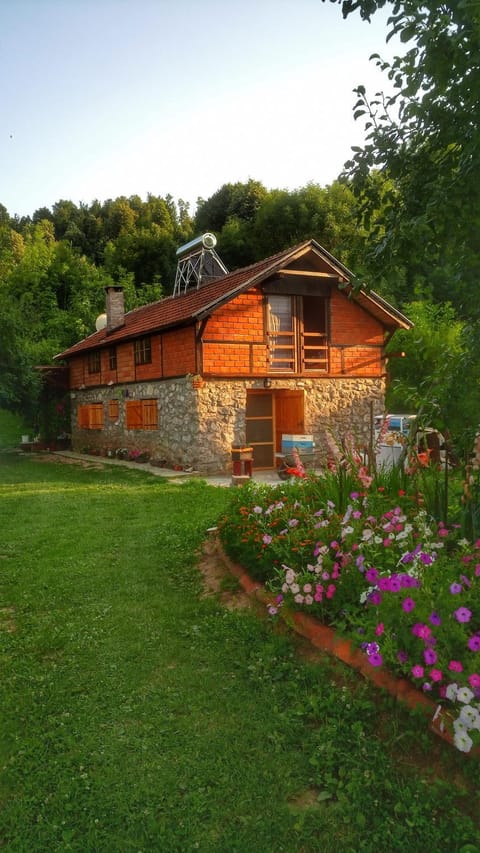 Property building, Garden, Garden view