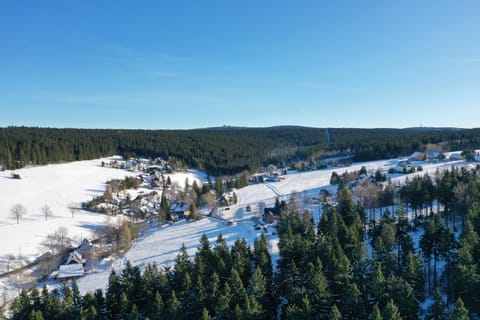 Natural landscape, Winter, On site