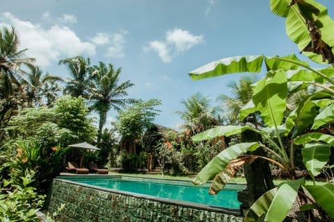 Day, Natural landscape, Garden, Garden view, Pool view, Swimming pool