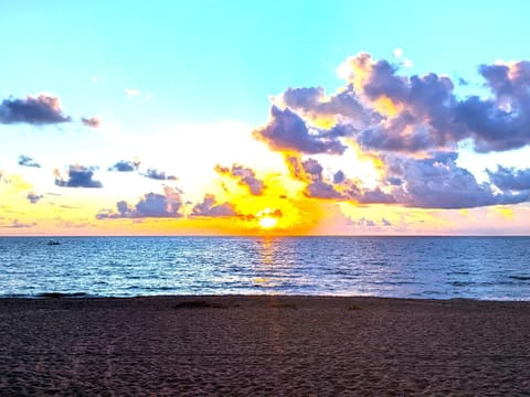 Beach, Sunrise, Sunset, sunbed