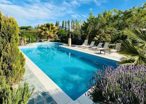 Garden, Pool view, Swimming pool, sunbed