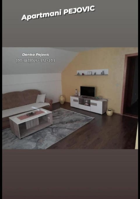 Pejovic Apartment in Zlatibor District, Serbia