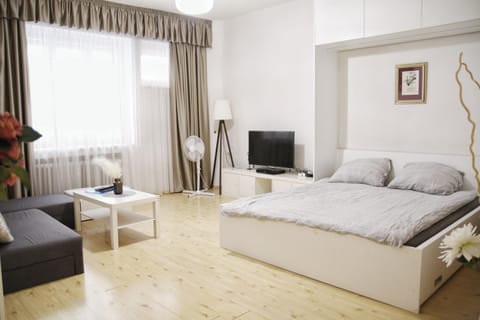 Communal lounge/ TV room, Bed, TV and multimedia, Living room, Photo of the whole room, Seating area, Bedroom