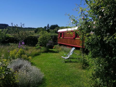 Spring, Day, Garden