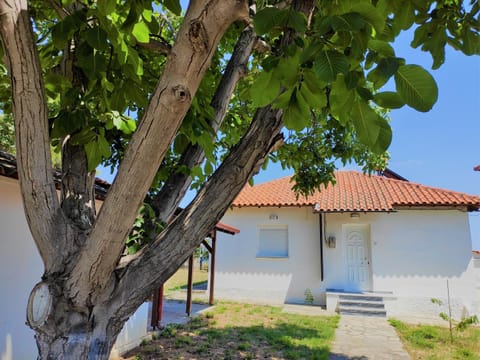 Property building, Patio, Facade/entrance