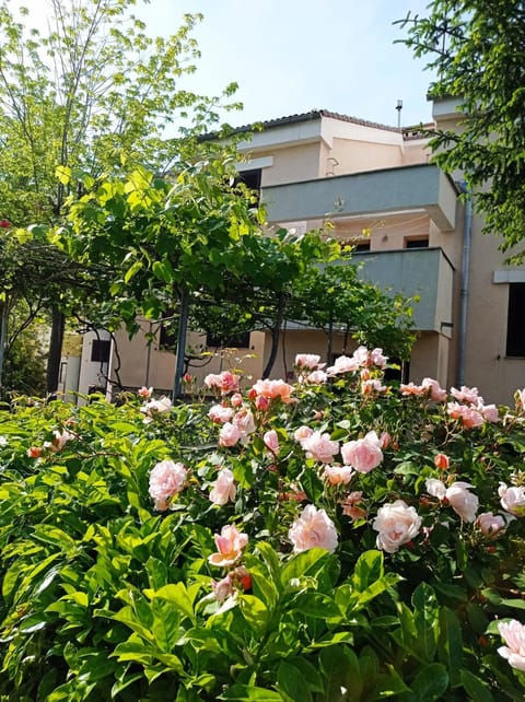 Property building, Facade/entrance, Spring