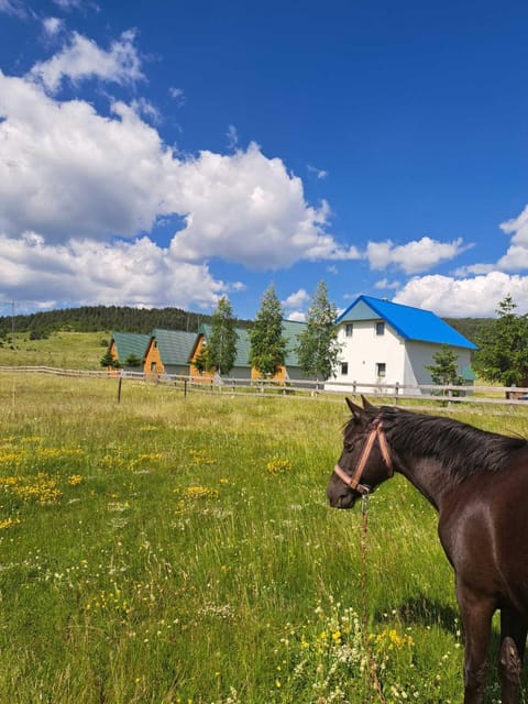 Vule bungalovi Apartment in Zlatibor District, Serbia