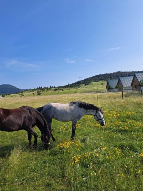 Vule bungalovi Apartment in Zlatibor District, Serbia