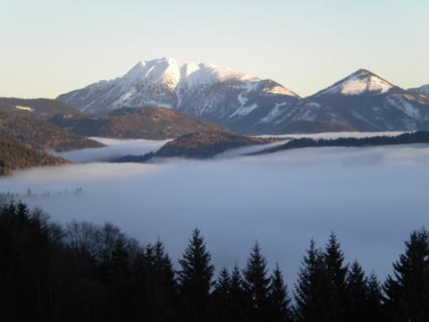 Natural landscape, Winter