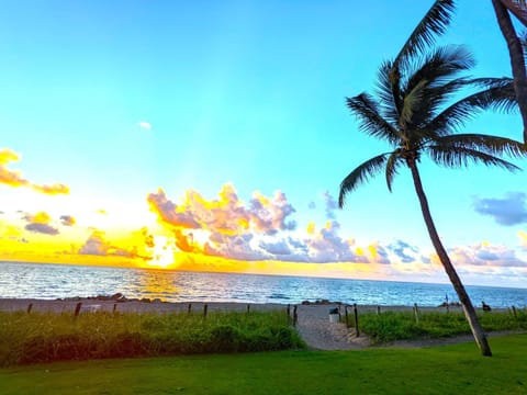 Nearby landmark, Natural landscape, Beach, Sea view, Sunrise, Sunset, locker, sunbed