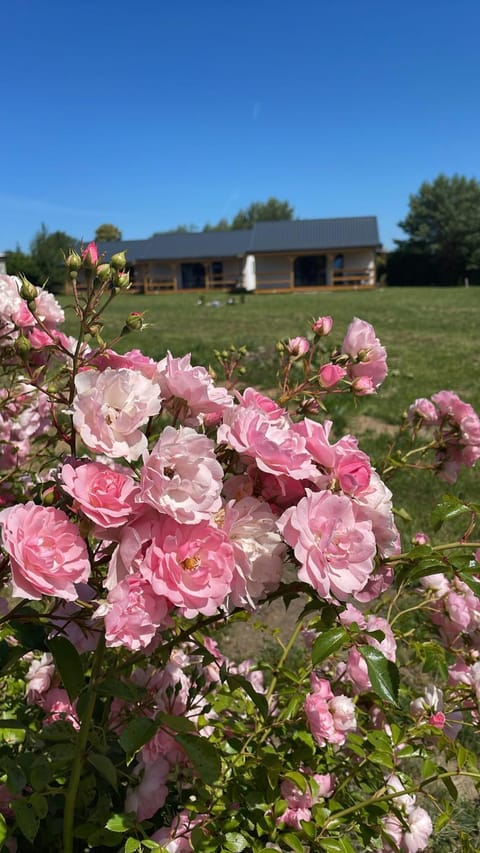 Spring, Natural landscape, Garden view
