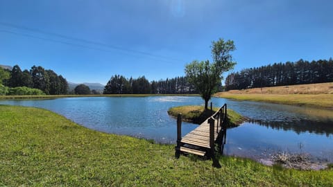 Lake view