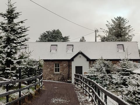 Property building, Winter, fireplace